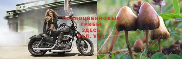 прущие крисы Алексеевка