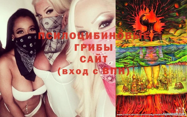 спайс Абдулино
