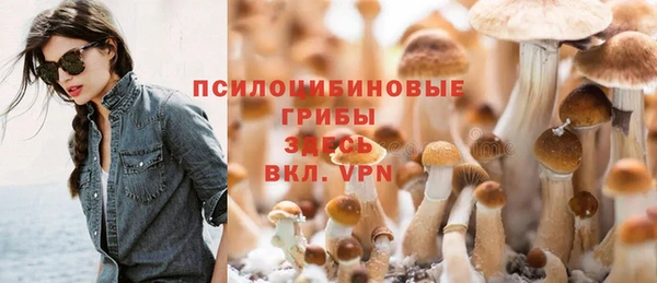 спайс Абдулино