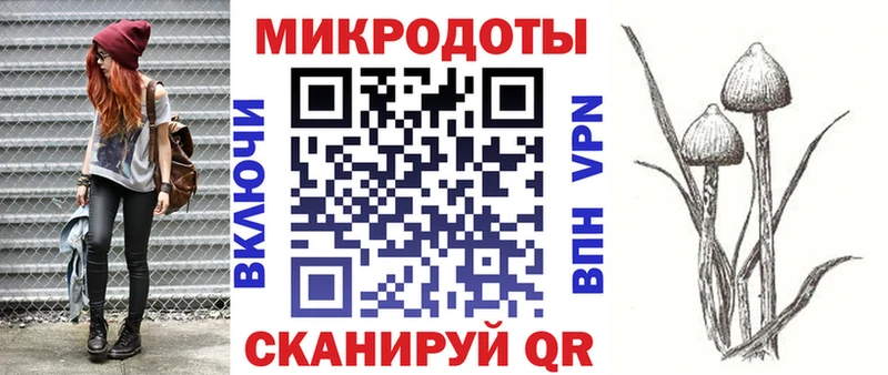 дарнет шоп Шлиссельбург OMG как зайти Галлюциногенные грибы Cubensis